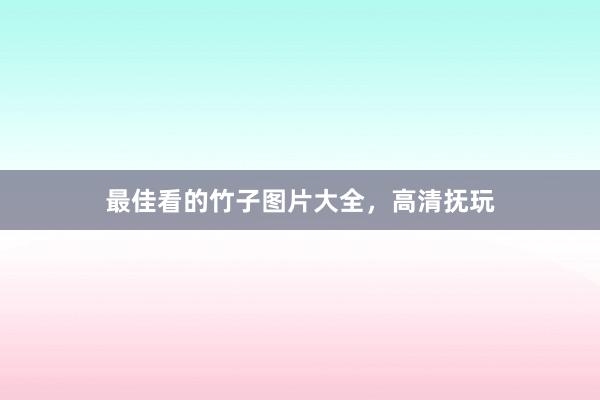 最佳看的竹子图片大全，高清抚玩