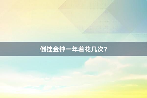倒挂金钟一年着花几次？